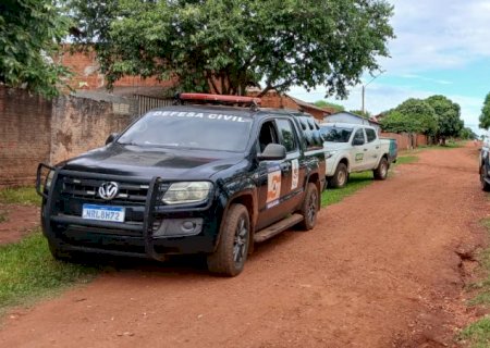 Prefeitura de Angélica inicia fiscalizações sobre animais soltos nas ruas