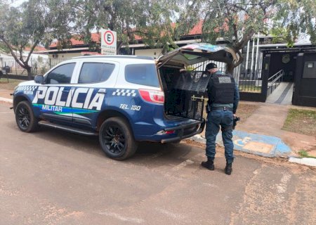 Ivinhema - Polícia Militar conduz mulher por perturbação do sossego, desacato e ato obsceno
