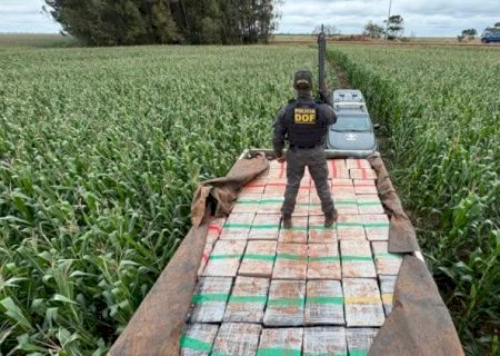 Mais de seis toneladas de droga é apreendida pelo DOF na MS -270
