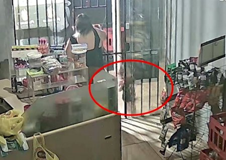 Pitbulls fogem de casa de vizinha e atacam criança de 3 anos