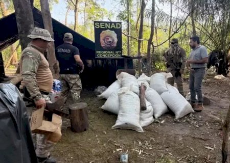 Em três dias, operação destrói mais de 160 toneladas de maconha na fronteira