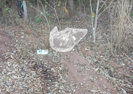 Corpo de homem é encontrado  e tem cabeça decapitada em área rural próxima a Sonora