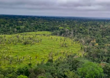 Amazônia: 60% das terras indígenas não registraram desmatamento, aponta Imazon