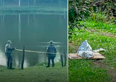 Bebe de 10 meses morre afogada e mãe é detida sob suspeita de tentar matar os três filhos em Presidente Prudente