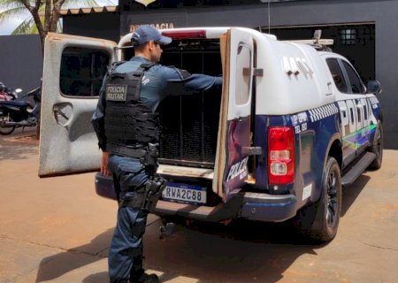 Angélica: Polícia Militar atendeu duas ocorrências de violência doméstica