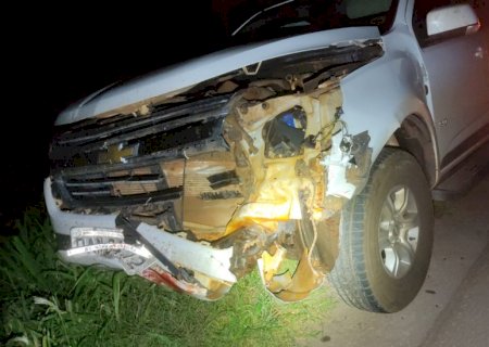 Caminhote colide em animal silvestre na MS-276 entre Anaurilândia e Batayporã
